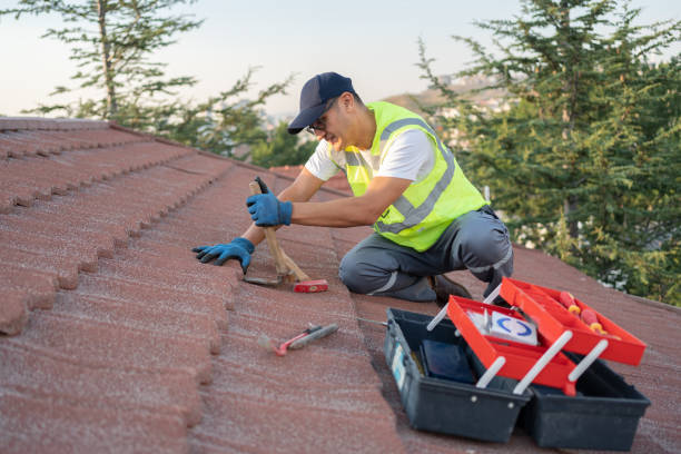 Best Chimney Flashing Repair  in Stockton, KS